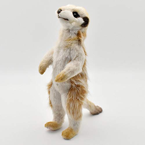 hansa meerkat