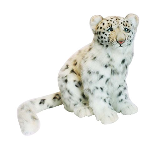 hansa snow leopard cub