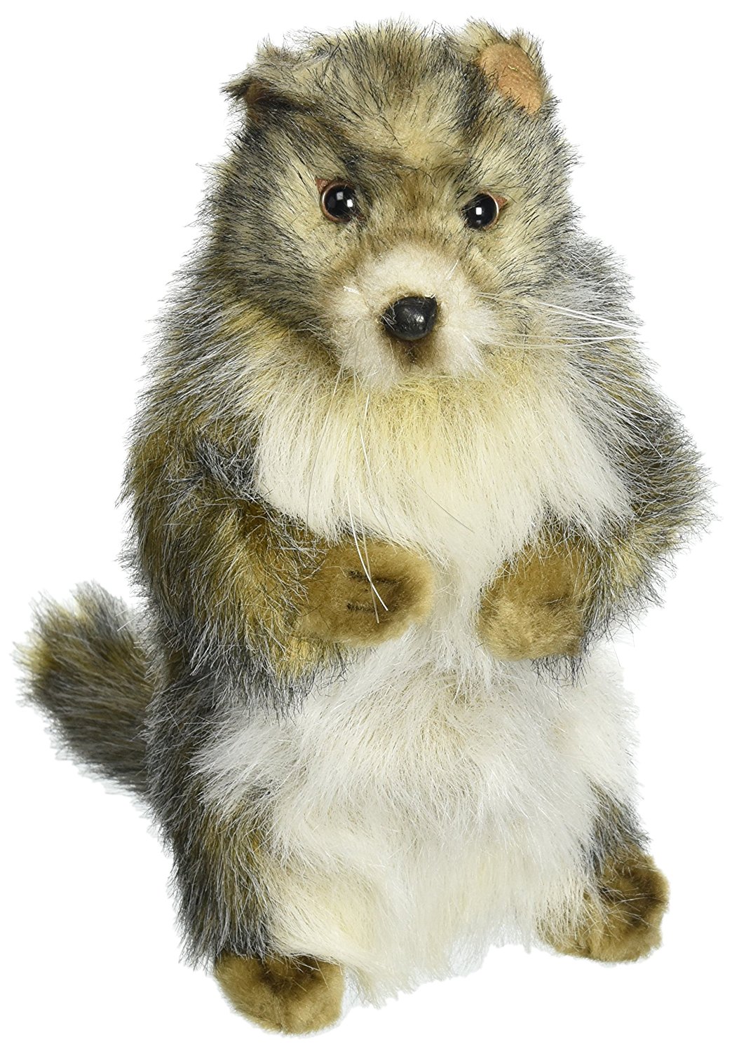 hansa marmot