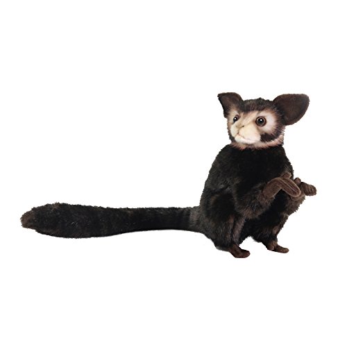 aye aye soft toy