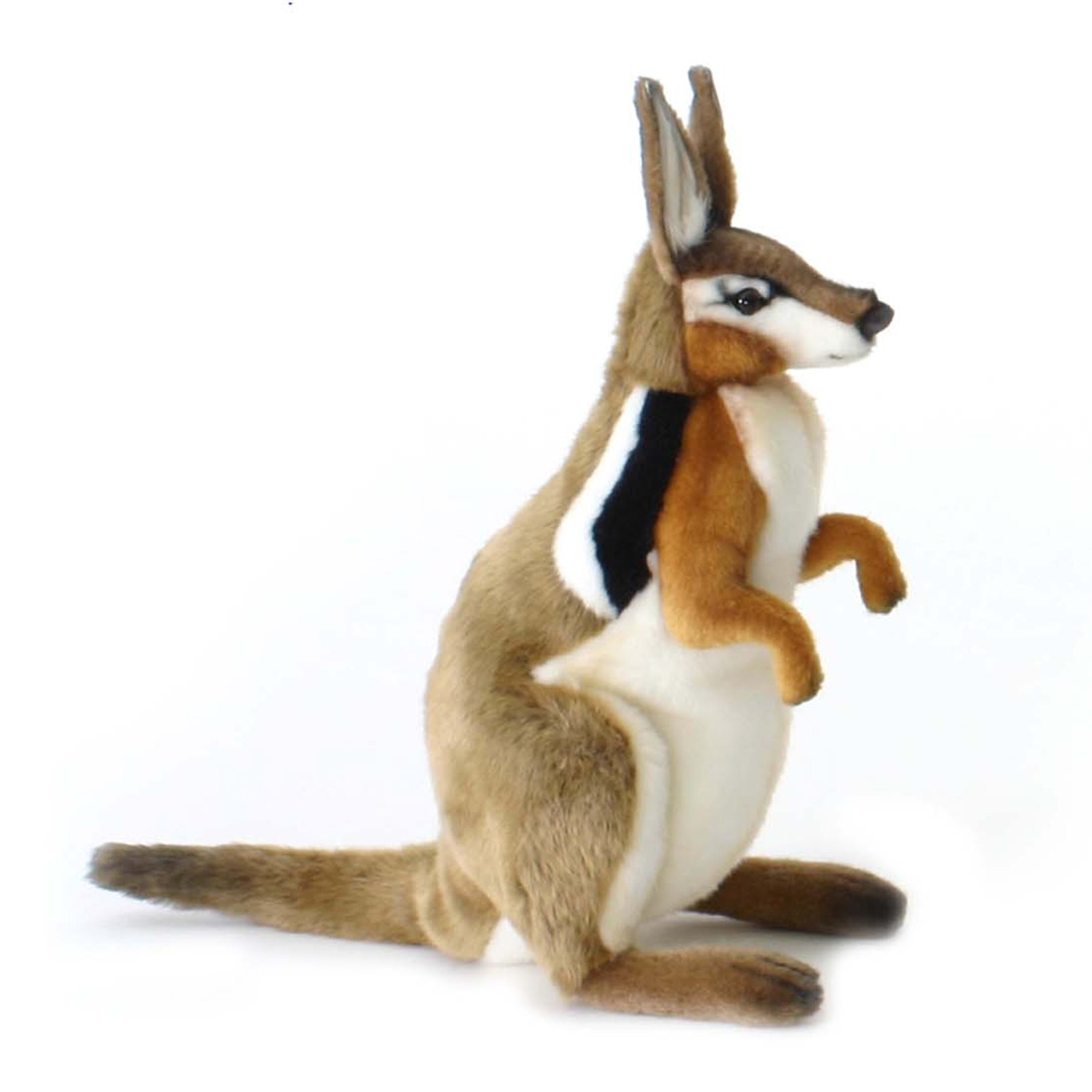 Hansa Standing Wallaby 16