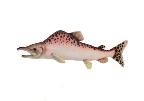 salmon cat toy